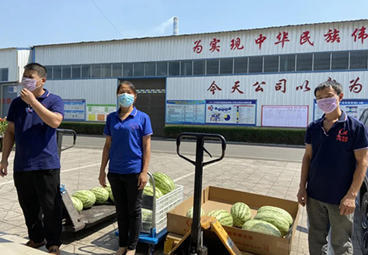 永乐高ylg888888集团组织开展夏日送清凉系列活动